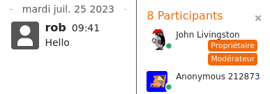 Screenshot chatu. V seznamu účastníků je John Livingston a anonymní účet s přezdívkou „Anonym 212873”.